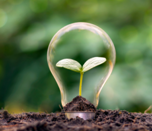 light bulb with green plant inside