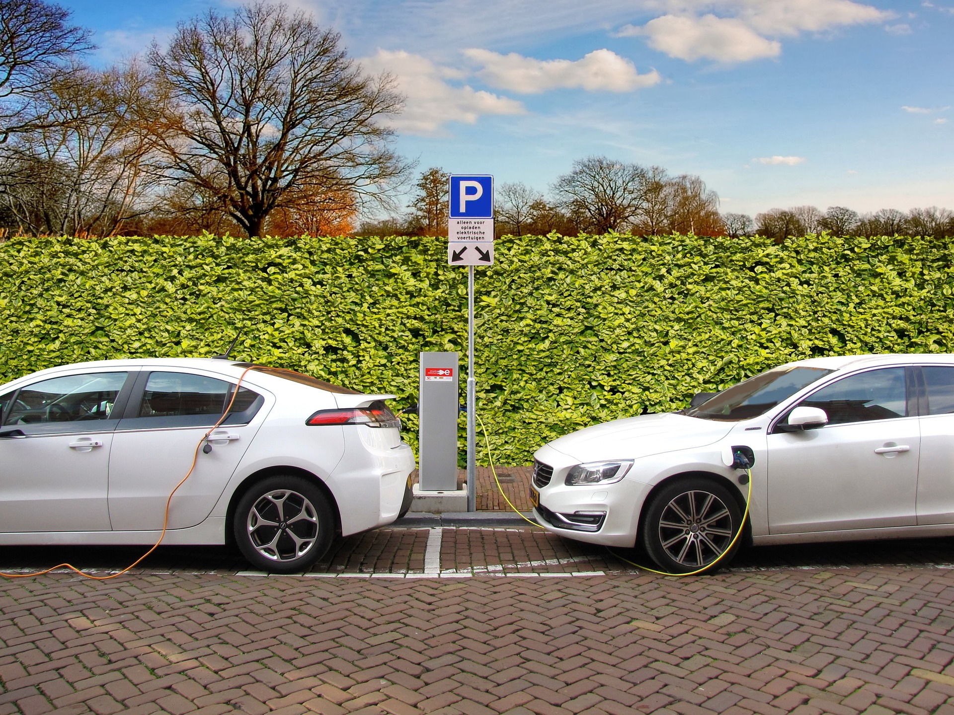 Two white electric vehicles charging at a public charging station with a green hedge and trees in the background.